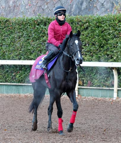 �ڥۡ��ץե�S�ۥ���ȥ쥤��ν�ǯ�ٻ���Хɥ�ʡ��Ȥ�G1���ʸ���������Ƥء����ʴ�Ĵ���աִ����٤Ϲ⤤��