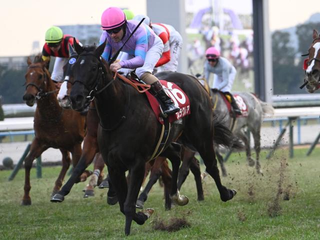 �ں��Cͽ�ۥ��å��ۥʥ�饯�쥢��ͽ��1�ֿ͵�