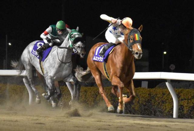 �ڱ��¶��ϡ����ݥ˥��ե�����ɥ��åס�1�ֿ͵��२�å�������ǯ�ž�3���ܡ�7�Фˤ��ƽ��°���