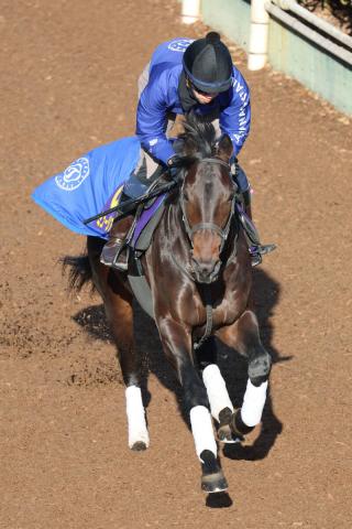 �ߥ塼������ޥ���