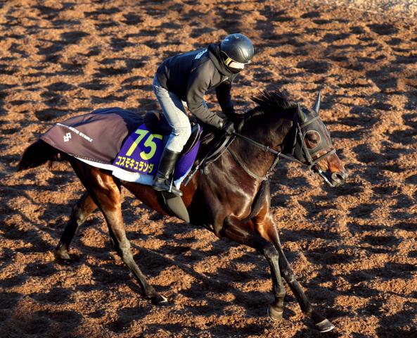 ��ϩ���������夬�륳���⥭������ʥ���顦���ҡ�Ű��