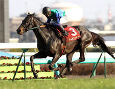 13番人気トーセンクラウンが5馬身差圧勝/中山記念