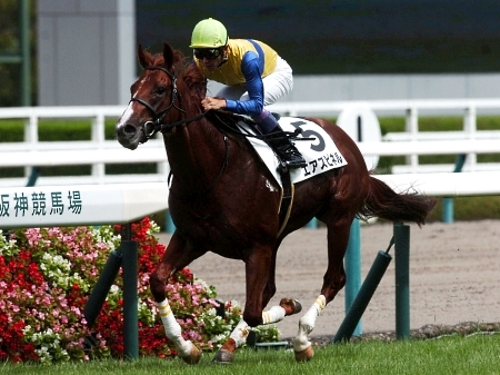 エアスピネルが1 7倍で1番人気 朝日杯fs前日オッズ 競馬ニュース Netkeiba Com