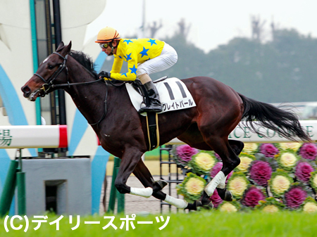 完勝発進グレイトパールに中内田師は「芝で走れるところを証明してくれた」/京都新馬