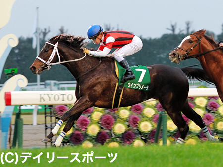 ウインプリメーラと鞍上の川田を大久保師は絶賛「言うことなしです」/京都金杯 競馬ニュース netkeiba