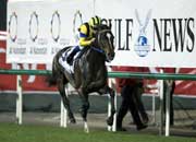 ハーツクライ　キングジョージ　現地アスコット購入馬券　激レア ハーツクライ キングジョージ 現地アスコット購入馬券 激レア
