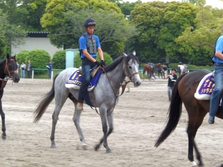 マウントロブソン アジュールローズ 日本ダービー厩舎情報 競馬ニュース Netkeiba Com