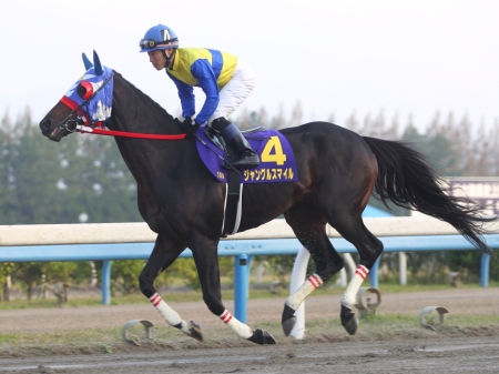 金沢年度代表馬に4度選ばれたジャングルスマイルが引退(写真は2013年JBCクラシック出走時、撮影：高橋正和)