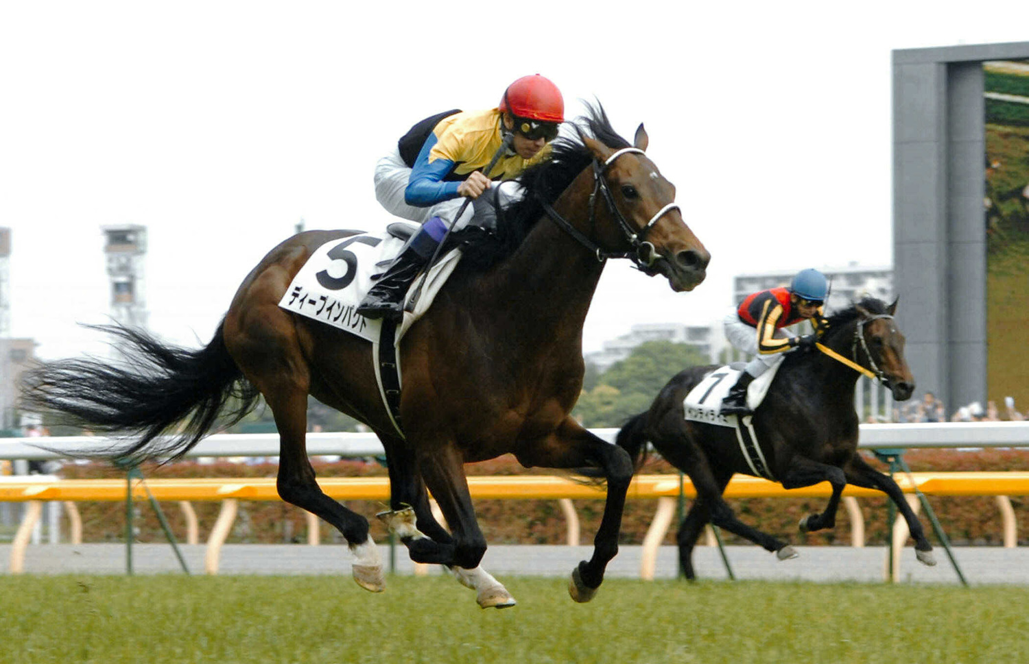 ディープインパクトの軌跡 日本近代競馬の結晶よ、永遠にーー。 | 競馬