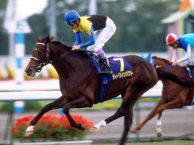 ディープ追悼・2005年菊花賞】“日本近代競馬の結晶”が快挙達成 入場 
