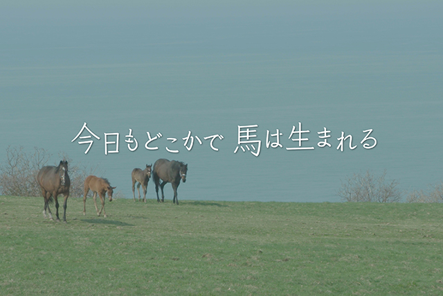 ドキュメンタリー映画『今日もどこかで馬は生まれる』