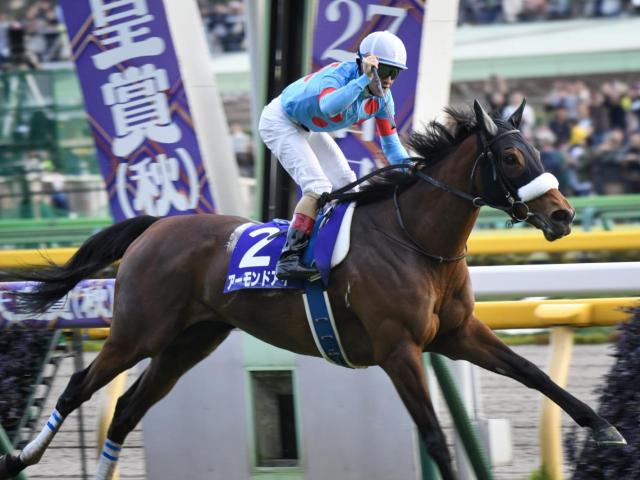 昨年の優勝馬であるアーモンドアイ(ユーザー提供:Natsumiさん)