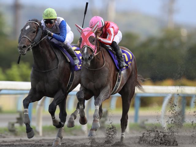 【名古屋グランプリ】JRA所属の出走予定馬および補欠馬について/地方競馬