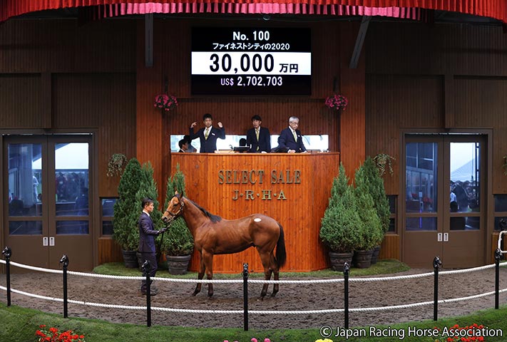 3億円で落札されたファイネストシティの2020(提供：日本競走馬協会)