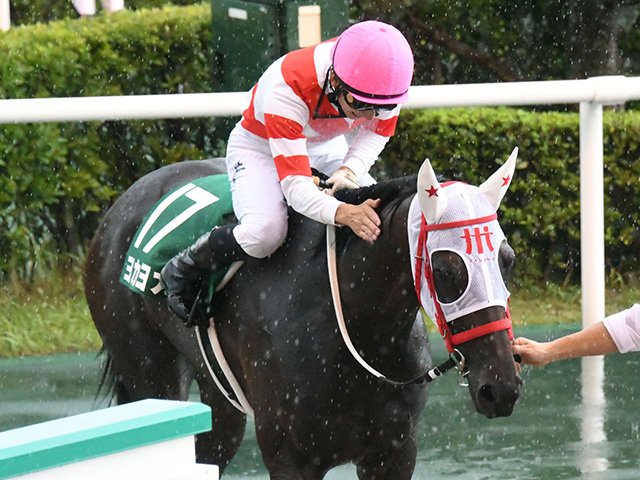 北九州記念で、熊本県産馬初のJRA重賞制覇を果たしたヨカヨカ