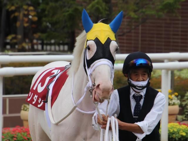 桜花賞馬ソダシの2冠制覇に期待する(ユーザー提供：Taikiさん)