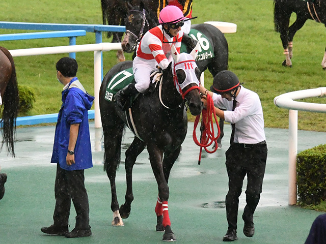 北九州記念を制した熊本県産馬ヨカヨカ