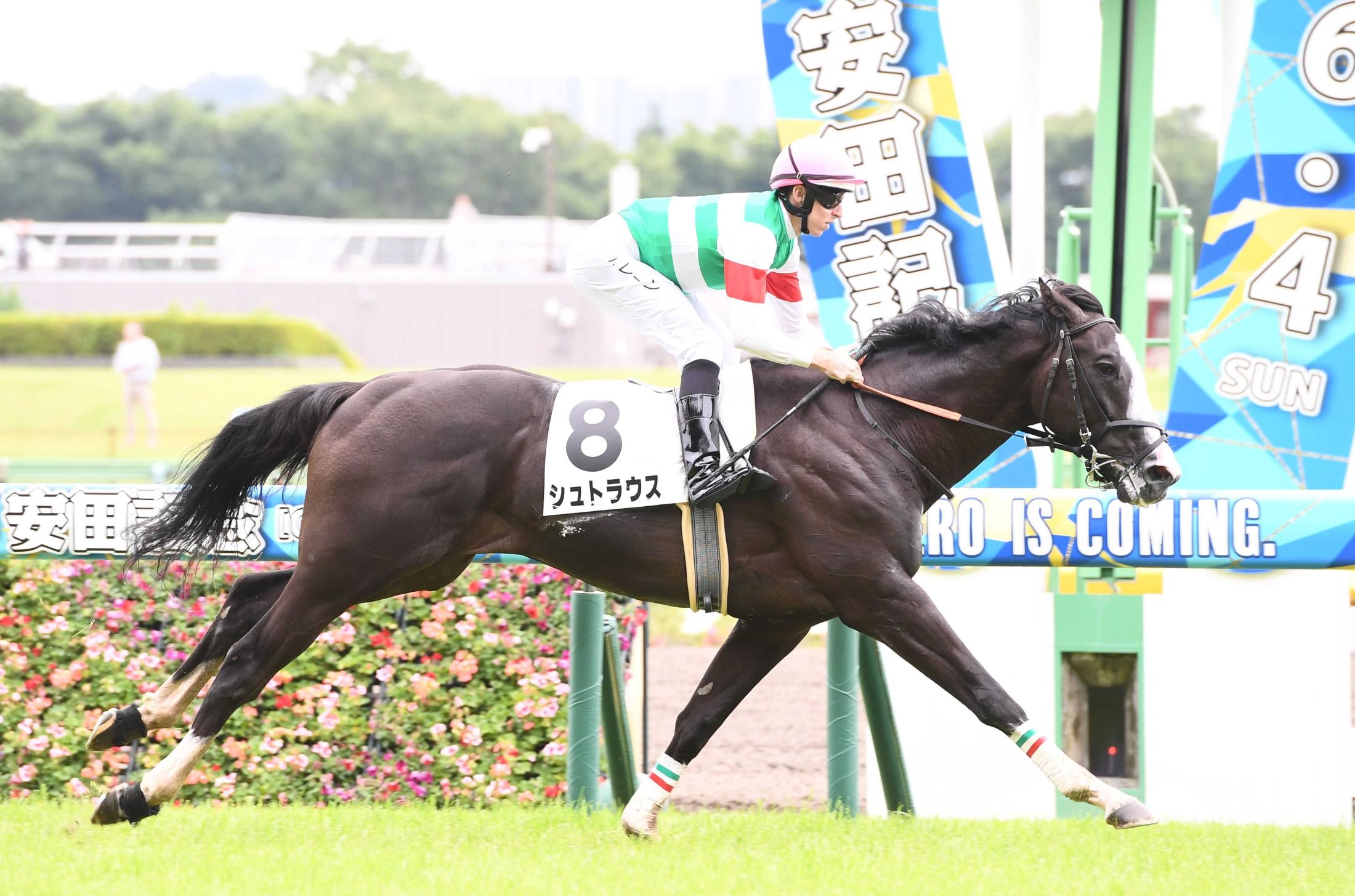 【新馬戦】シュトラウス９馬身差圧勝　レーン「ポテンシャルの高い馬」
