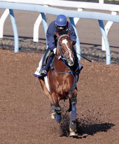 【大阪杯】昨年の皐月賞馬ソールオリエンスは5枠10番、ダービー馬タスティエーラは2枠3番　枠順発表
