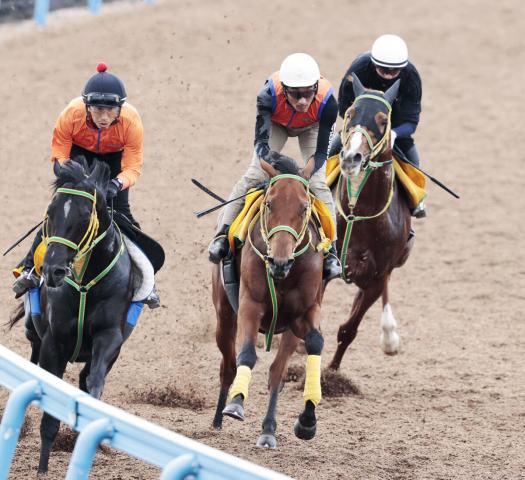 【福島牝馬S】22年阪神JF2着馬が迫力十分の動きで復調アピール　竹内調教師「馬も厩舎としてもタイトルが欲しい」