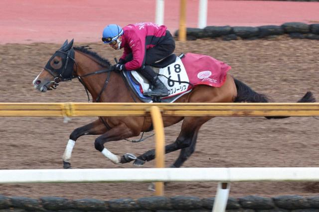 プログノーシス、マッドクールなど香港チャンピオンズデー出走の関西馬4頭が現地へ「輸送をクリア」