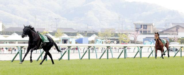 福島牝馬Sでシンリョクカとライトクオンタムの2頭が落馬、競走中止に