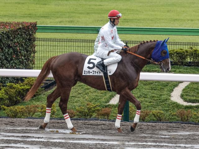 【ユニコーンS予想】東京ダービーTRに生まれ変わった砂の出世レース 新たな舞台でタイトルを獲得する馬は
