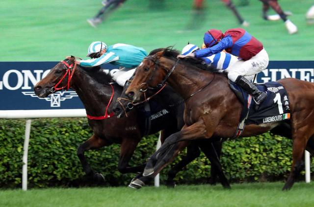 安田記念に香港ロマンチックウォリアーなど3頭の外国馬が予備登録