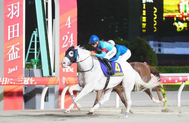 羽田盃を制した白毛馬アマンテビアンコ、放牧を挟んで東京ダービーで2冠制覇にチャレンジ