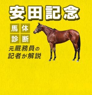 元厩務員経歴を持つ敏腕記者が<br/>買い時を迎えた馬体を解説！