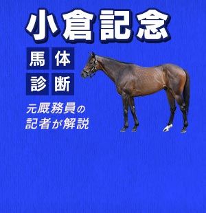元厩務員経歴を持つ敏腕記者が<br/>買い時を迎えた馬体を解説！