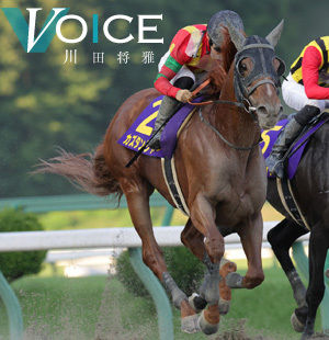 netkeiba ネットケイバ - 日本最大の競馬情報サービス