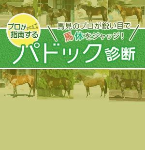馬体面から新潟2歳Sの<br/>有力出走馬をジャッジ！