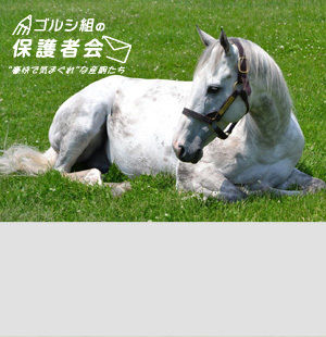 ゴールドシップ遺伝度チェック<br/>“ゴルシみ”が1番強いのは？