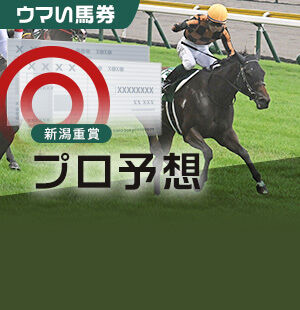 超活用ネット競馬で稼ぎまくれ! ネット株より簡単! 超活用ネット競馬で稼ぎまくれ!: ネット株より簡単! | 荒井 俊也