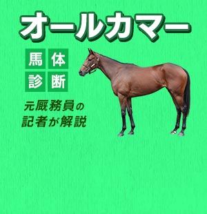 元厩務員経歴を持つ敏腕記者が<br/>買い時を迎えた馬体を解説！
