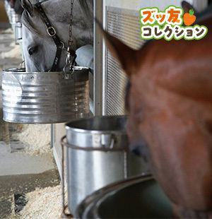 超活用ネット競馬で稼ぎまくれ! ネット株より簡単! 超活用ネット競馬で稼ぎまくれ! ネット株より簡単!