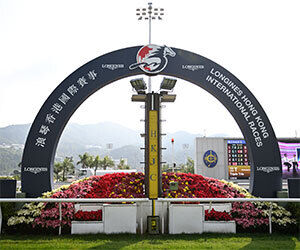 ܤιݶ<br/>Ϸȯоݥ졼̰