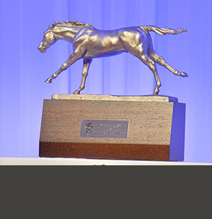 今年の授賞式や最新情報も<br/>年度代表馬などJRA賞を振り返る