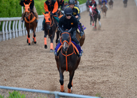 ��ϩ��夬�륫���֥�å��ҥ�