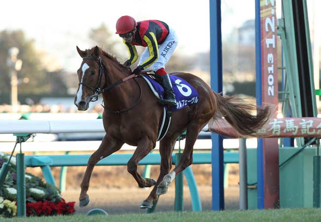 オルフェーヴルの軌跡 史上7頭目の三冠馬 凱旋門賞2年連続2着 記録 記憶共に語り継がれる名馬 競馬まとめ Netkeiba Com