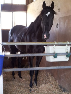 ��ޥ˥󥦥�������