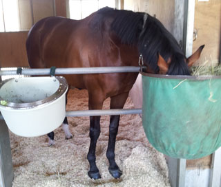 �쥤��ܡ��ڥ�����