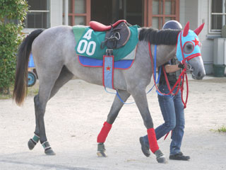 �����륹����