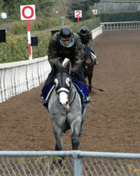 ゴールドシップ