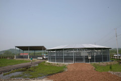 ���������󥰥ޥ�����������