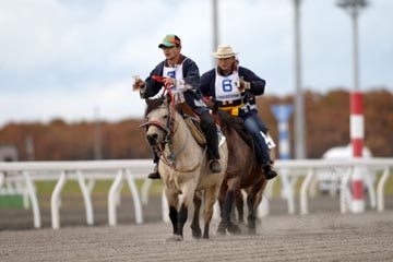 (�̿�������å�������å�������)