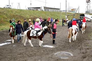 (�̿����ؾ����Ե�)