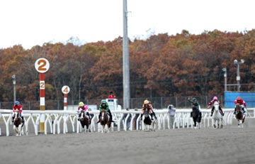 (�̿�������JJ��)