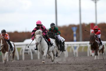 (�̿���ʡ�פ���Ⱥ��ܤ���)